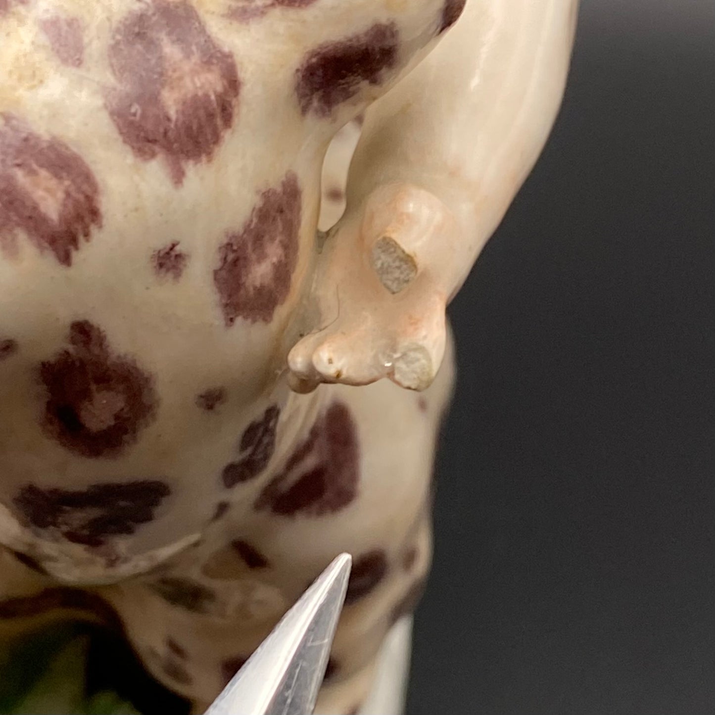 Rare Antique 18thc Bow Porcelain Figurine Bacchus & Leopard c1755