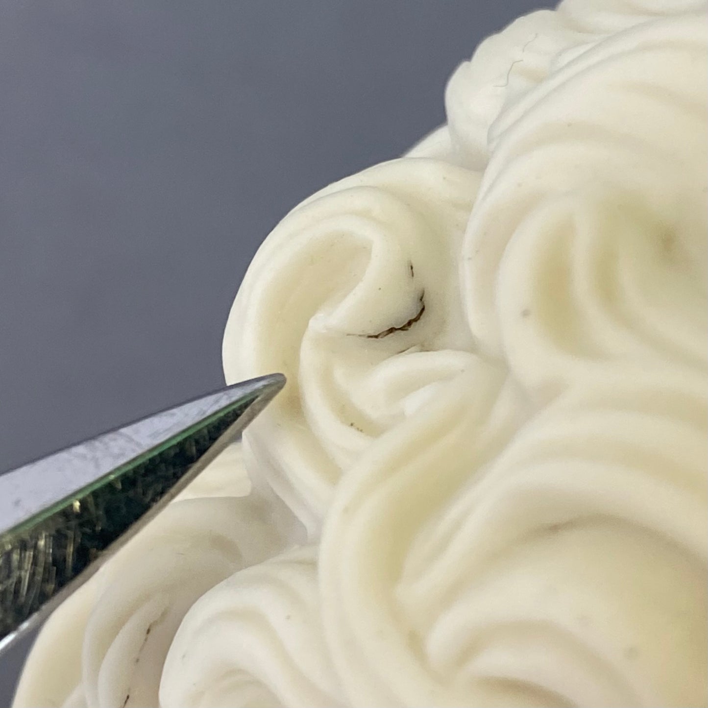 Antique 19thc Parian Porcelain Bust Composer Beethoven by Robinson & Leadbeater