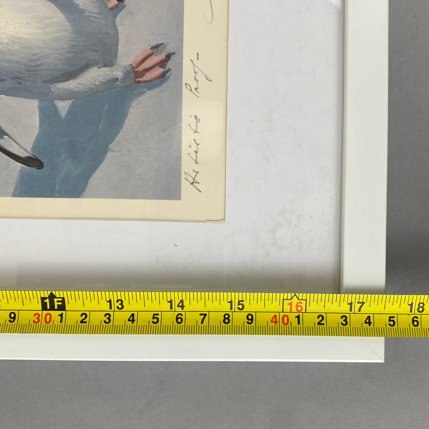 Adelie Penguins Art Print by Keith Shackleton Rare Signed 1st Artists Proof Lithograph c1977