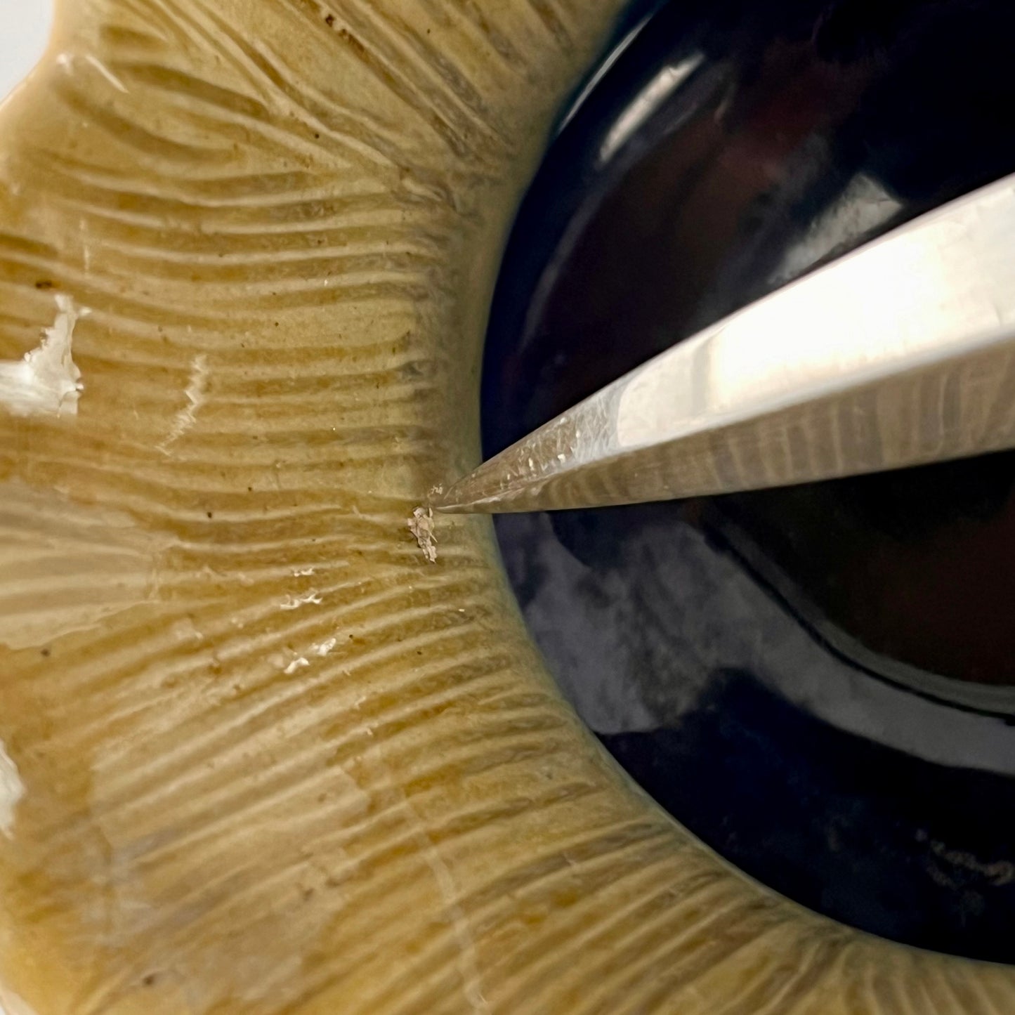 Antique Doulton c1880-91 Pottery Posy Bowl by Frank Butler with Sea Shell Relief