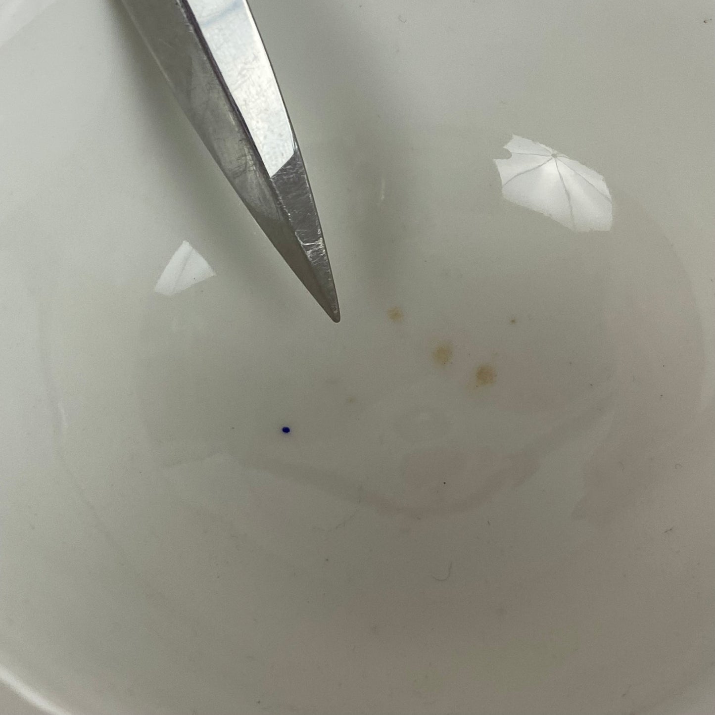 19thc Paris Porcelain Antique Tea Cup & Saucer Gold Gilt~Roses