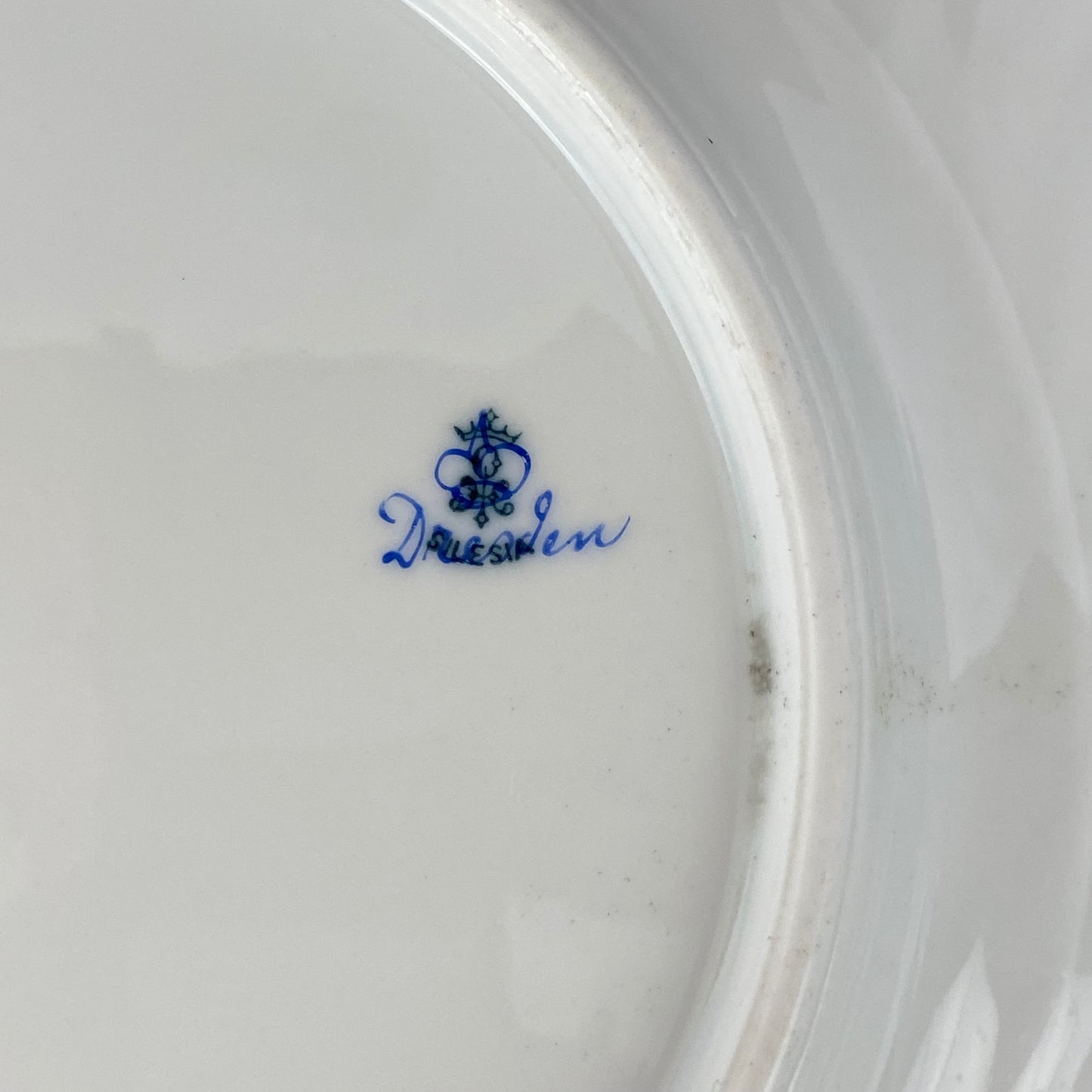 Antique Dresden Porcelain Plate Pair Floral Gold Gilt Rococo Revival Shell Rim