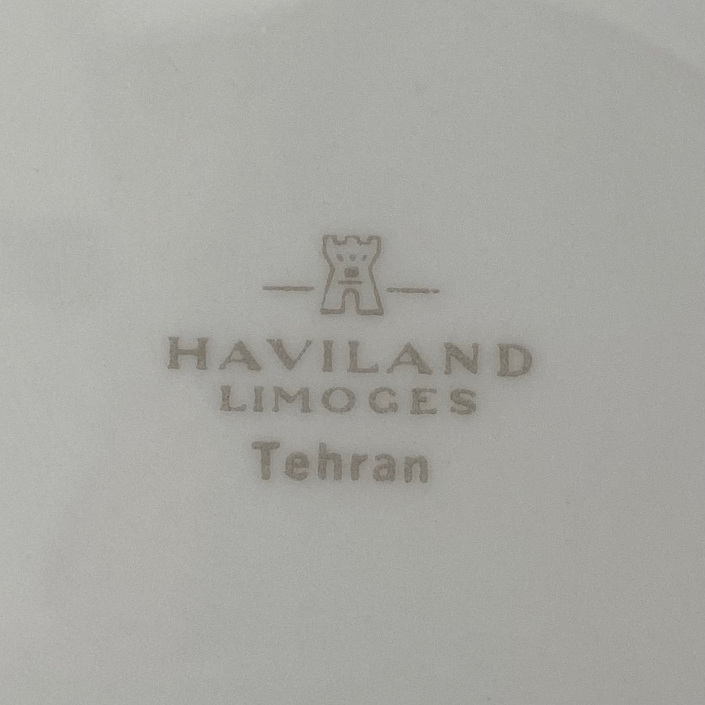 Vintage Limoges Fruit Bowl by Haviland Tehran Pattern French Porcelain