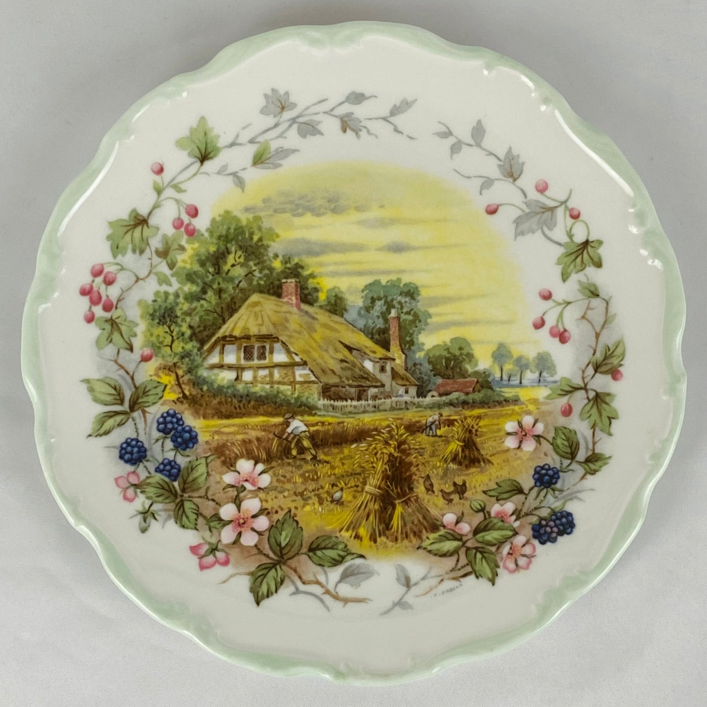 4 Royal Albert Vintage Plates - Cottage Garden of the Year - 4 Seasons 1984