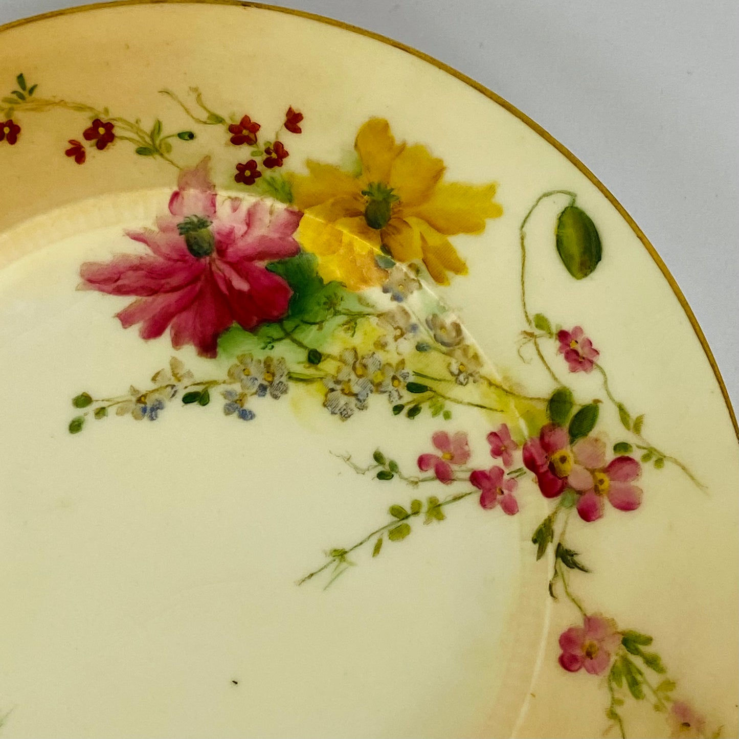 4 Royal Worcester Blush Ivory Porcelain Plates Hand Painted antique c1904 Gold Gilt