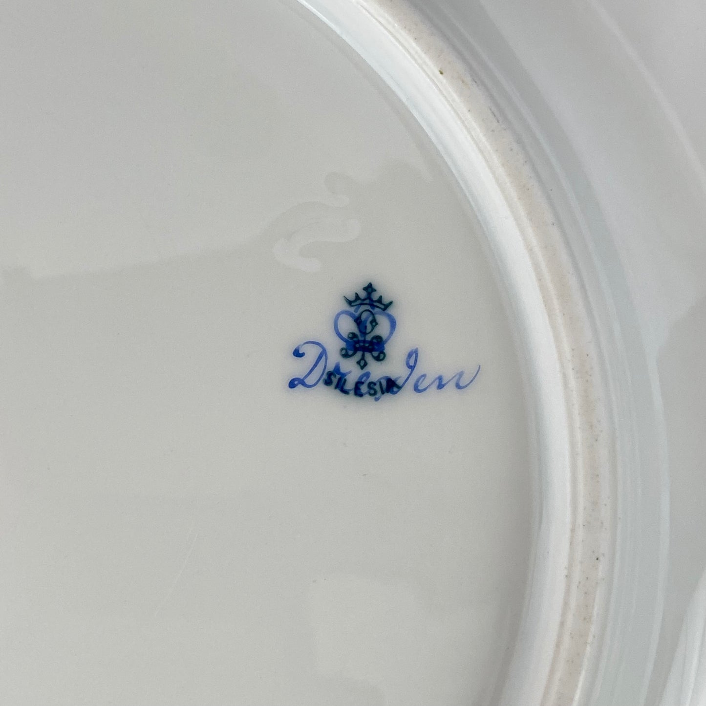 Antique Dresden Porcelain Plate Pair Floral Gold Gilt Rococo Revival Shell Rim