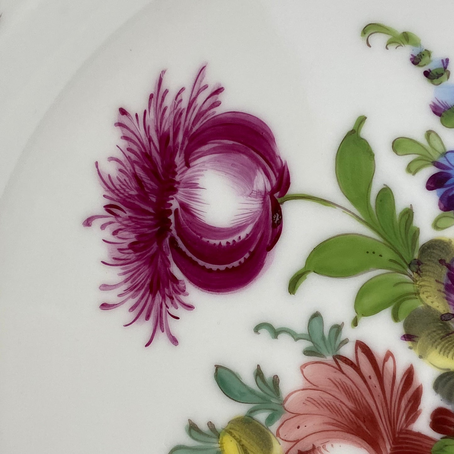 Antique Dresden Porcelain Plate Pair Floral Gold Gilt Rococo Revival Shell Rim