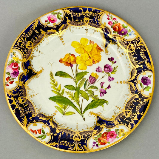 Antique Coalport Dessert Plate Gold Gilt Floral English Porcelain c1820s
