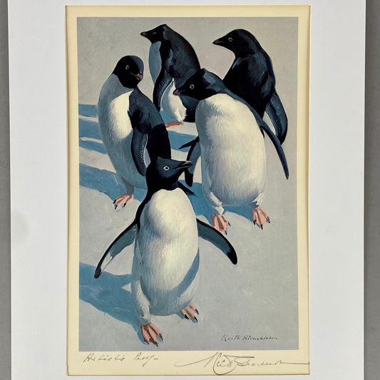 Adelie Penguins Art Print by Keith Shackleton Rare Signed 1st Artists Proof Lithograph c1977